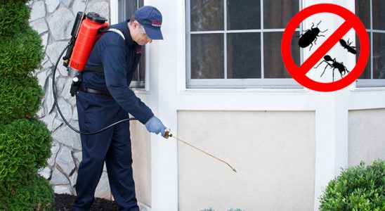 Enez Hamam Böceği İlaçlama böcek ilaçlama ve haşere kontrolü — ilaclama-tr.com